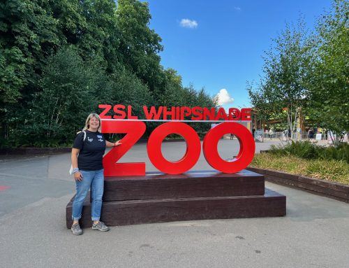 We went to the zoo, you should go too…
